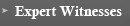 Expert Witnesses